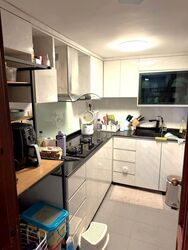 Hougang Green (D19), Apartment #578661981